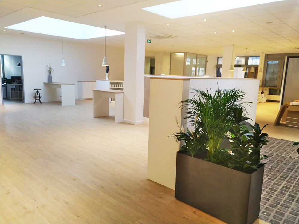 Designbelag für Sanitätshaus